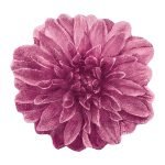 Χαλάκι Μπάνιου Abyss & Habidecor Dalhia  Στρογγυλό 100 εκ