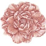 Χαλάκι Μπάνιου Abyss & Habidecor Damas  Στρογγυλό 100 εκ