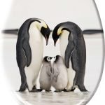 Καπάκι WC Jacksons 37x45 εκ