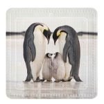 Αντιολισθητικό Μπάνιου Jacksons Ντουζιέρας 55x55 εκ