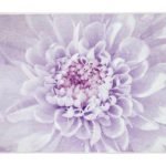 Χαλάκι Μπάνιου Dahlia 50x60 εκ