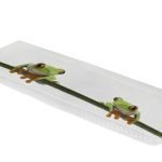 Αντιολισθητικό Μπάνιου Charlie  Μπανιέρας 36x92 εκ