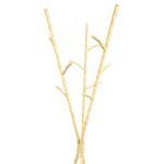 Καλόγερος 12 θέσεων Μασίφ Σφυρήλατος σε Μπέζ χρώμα - Image 2