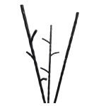 Καλόγερος 12 θέσεων Μασίφ Σφυρήλατος σε Μαύρο χρώμα - Image 3