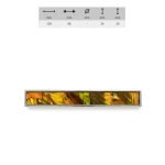 Ιταλικό πομολάκι με φίλντισι 015