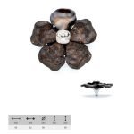 Ιταλικό πομολάκι κόσμημα 045