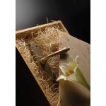 Ιταλικό Πόμολο με πλάκα Florenzia σε Μπρονζέ 087 - Image 2