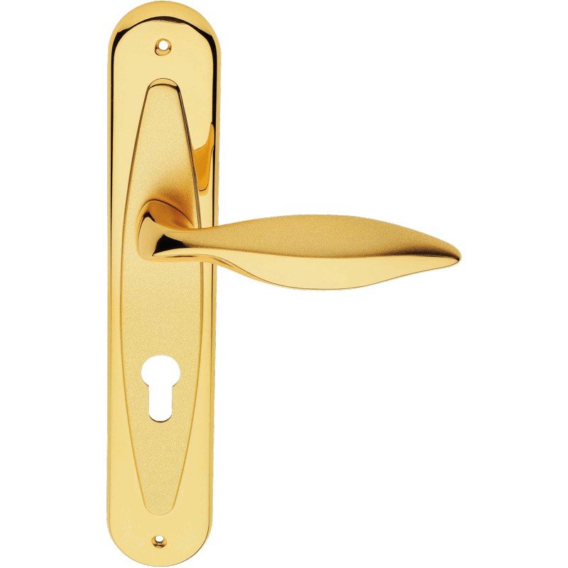 cat-delfino-pl-door-handle Ιταλικό Πόμολο με πλάκα Delfino σε Χρυσό 122 - Image 1