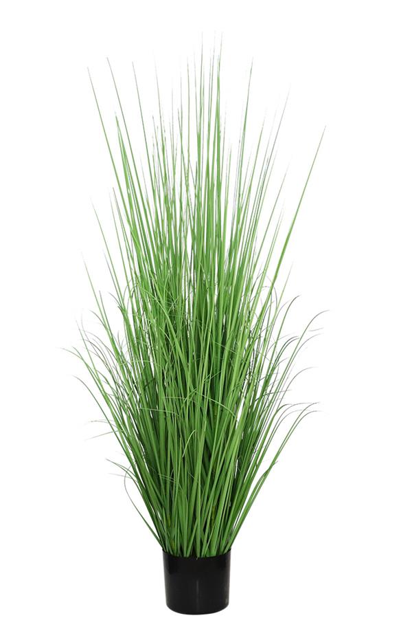 106c5feed8064ac5b55744a83e39f294 ONION GRASS TREE NP1011_120 ΥΨΟΣ 120cm NewPlan - Image 1