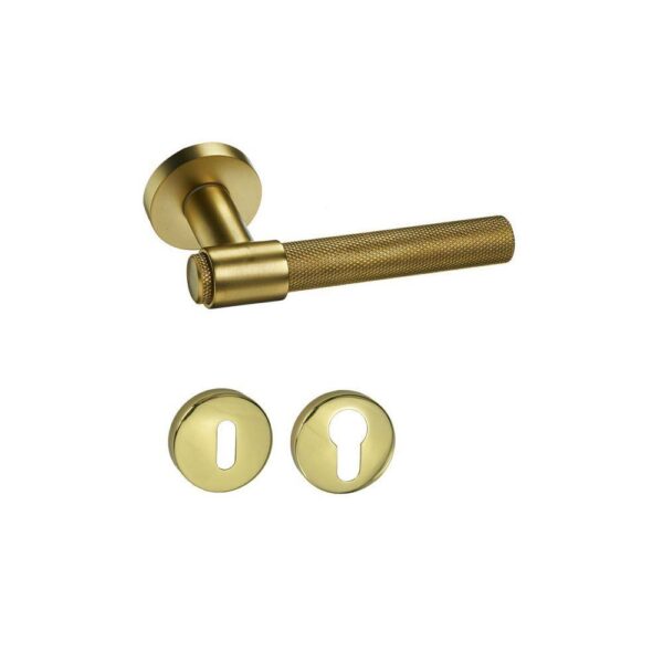 viobrass 219