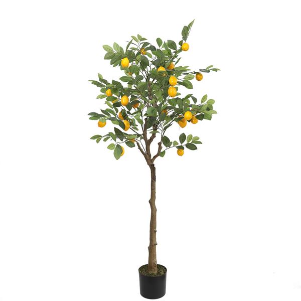 249f0ed068c042f0b06745b09619aae2 LEMON TREE NP_30_170 ΥΨΟΣ 170cm NewPlan - Image 1