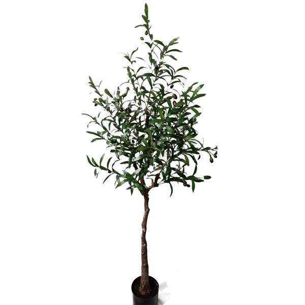 2de9a3ea16994a68b775760a9132000d OLIVE TREE NP4817_160_22 ΥΨΟΣ 160cm NewPlan - Image 1
