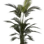 PALM TREE  NP160_210_UV  ΥΨΟΣ 210cm NewPlan