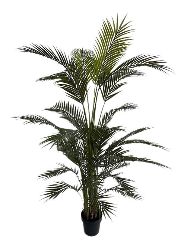 3a4b9645b55f40ceb0d20ed7c350df2c PALM TREE NP160_210_UV ΥΨΟΣ 210cm NewPlan - Image 1