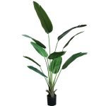 BANANA TREE NP1411_160  ΥΨΟΣ 160cm NewPlan