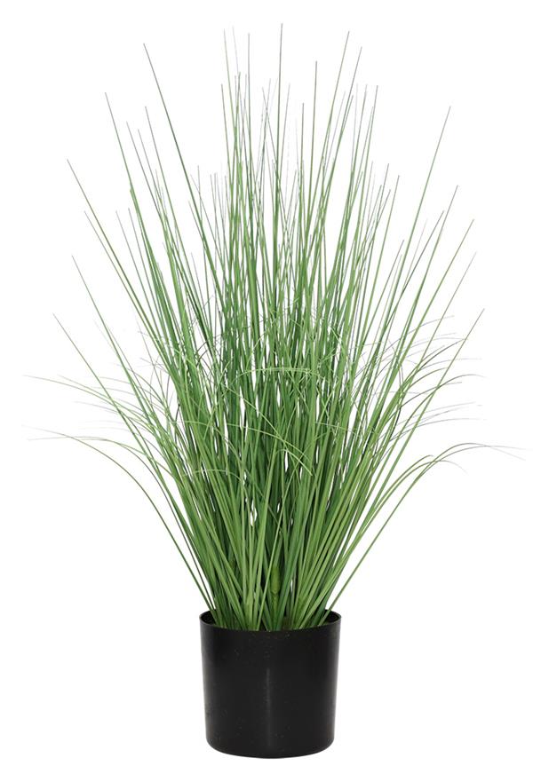 53639f9fda7c44509b8ec9cbf4b6cd9d ONION GRASS TREE NP1009_60 ΥΨΟΣ 60cm NewPlan - Image 1