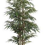 BAMBOO  NP828_210_UV  ΥΨΟΣ 210cm NewPlan