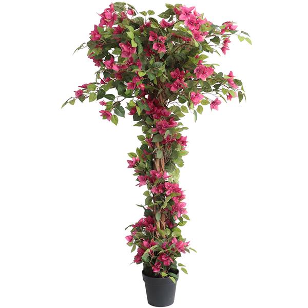 5fa37aa1ef05404c9e5a15f82365eb14 BOUGAINVILLEA NP_34_160 ΥΨΟΣ 160cm NewPlan - Image 1