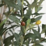 OLIVE TREE NP439_150 ΥΨΟΣ 150cm NewPlan - Image 5