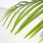 PALM TREE NP0063_120 ΥΨΟΣ 120cm NewPlan - Image 2