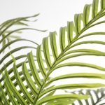 PALM TREE NP5506_180_22 ΥΨΟΣ 180cm NewPlan - Image 2