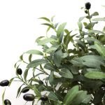 OLIVE TREE NP5807_150_22_UV ΥΨΟΣ 150cm NewPlan - Image 2