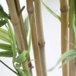 BAMBOO  NP6321_180_22  ΥΨΟΣ 180cm NewPlan - Image 2