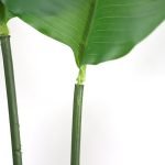 BIRD OF PARADISE NP717_160 ΥΨΟΣ 160cm NewPlan - Image 2