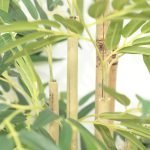 BAMBOO  NP824_153  ΥΨΟΣ 153cm NewPlan - Image 2