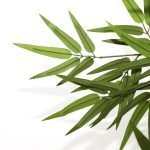 BAMBOO NP828_210_UV ΥΨΟΣ 210cm NewPlan - Image 2