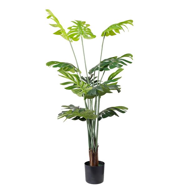 774007e0db5b42a4995d54c96af8a851 MONSTERA NP6314_155_22 ΥΨΟΣ 155cm NewPlan - Image 1