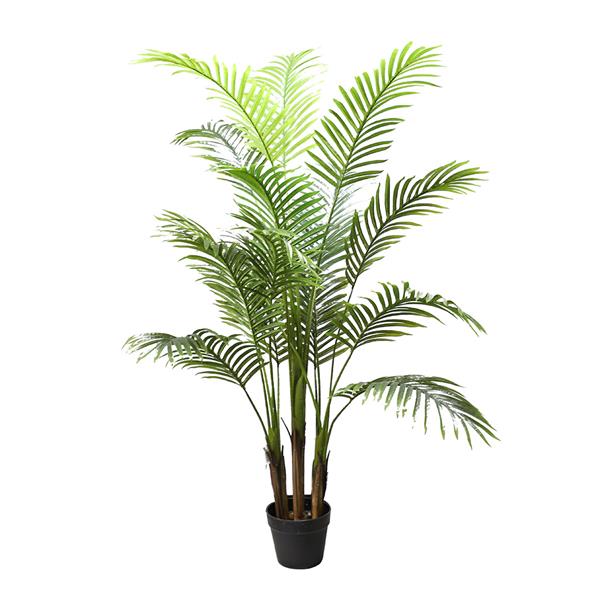 775fa9d4ad7c4cfdb34f1cdede109a7b PALM TREE NP5505_150_22 ΥΨΟΣ 150cm NewPlan - Image 1