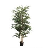 BAMBOO  NP824_153  ΥΨΟΣ 153cm NewPlan