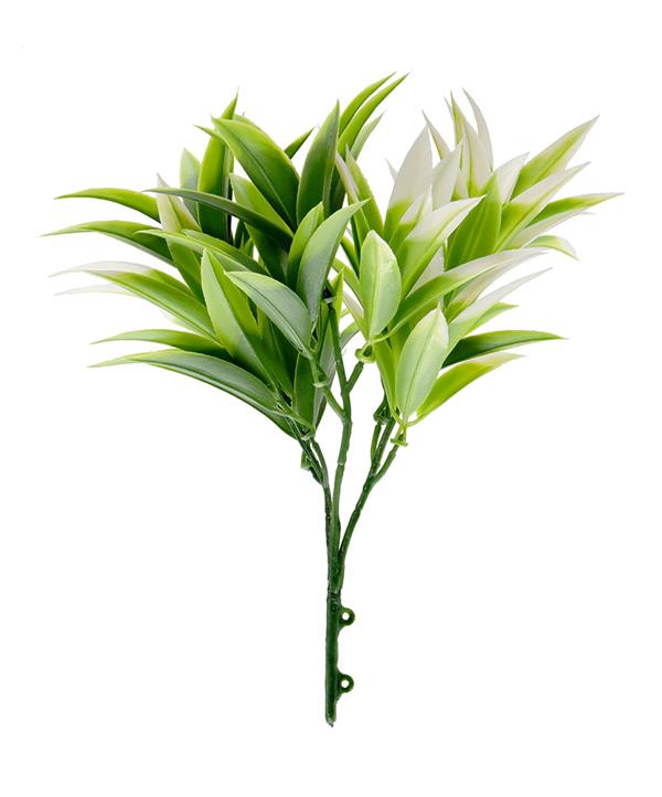 93dcdae600ea4b849d300f6f80fc31d7 ΔΙΑΚΟΣΜΗΤΙΚΟ ΜΠΟΥΚΕΤΟ (SET 10ΤΜΧ) AMALFI W007 PODOCARPUS NAGI NewPlan - Image 1