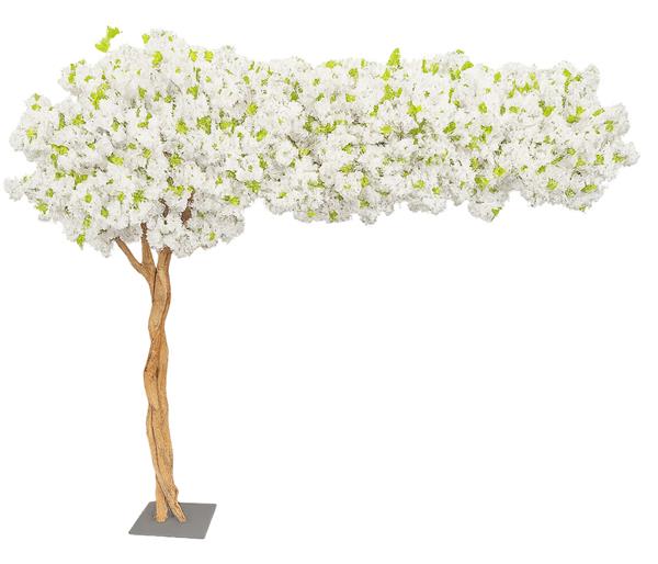 94b68b8c2313465fbea5d7907289273a CHERRY BLOSSOM TREE NP0030_200 ΥΨΟΣ 200x200cm NewPlan - Image 1