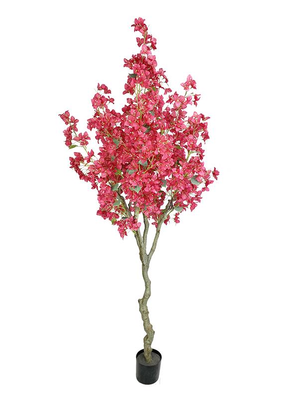 9d51c75743f7401c8730114811644d15 BOUGAINVILLEA NP0421_210 ΥΨΟΣ 210cm NewPlan - Image 1