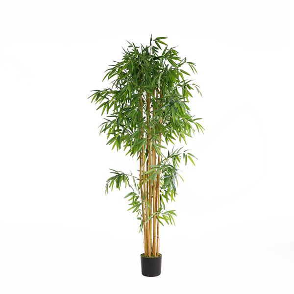 ade6a73bdaab46c6877b9f3b5290c74b BAMBOO NP0076_210 ΥΨΟΣ 210cm NewPlan - Image 1