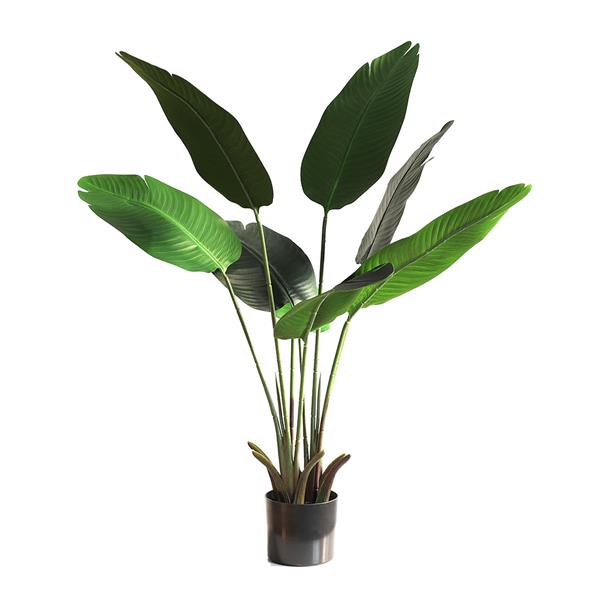 b23f5cb4312c4723b97721ec09f206a6 BANANA TREE NP1410_120 ΥΨΟΣ 120cm NewPlan - Image 1