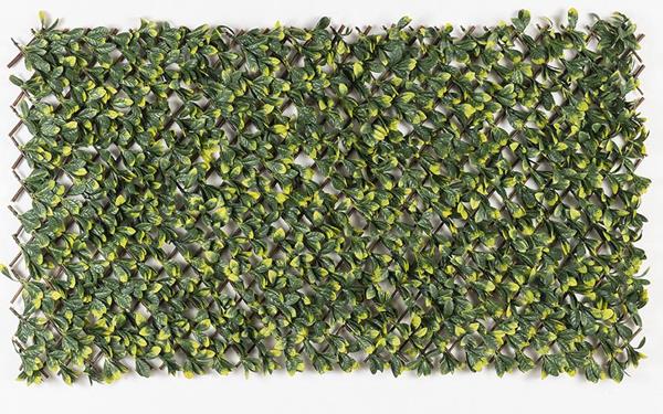 b67bcc9ced404a85bb2bdd7e538462a1 ΠΤΥΣΣΟΜΕΝΗ ΠΕΡΓΚΟΛΑ MIAMI 100 Χ 200 MZ186006A NewPlan - Image 1