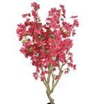 BOUGAINVILLEA  NP0422_170  ΥΨΟΣ 170cm NewPlan