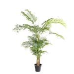 PALM TREE  NP5502_180_22   ΥΨΟΣ 180cm NewPlan