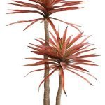 SISAL TREE  NP_811_140  ΥΨΟΣ 140cm NewPlan