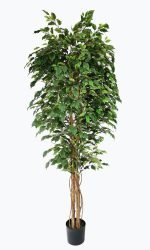 FICUS TREE NP230_210_UV ΥΨΟΣ 210cm NewPlan