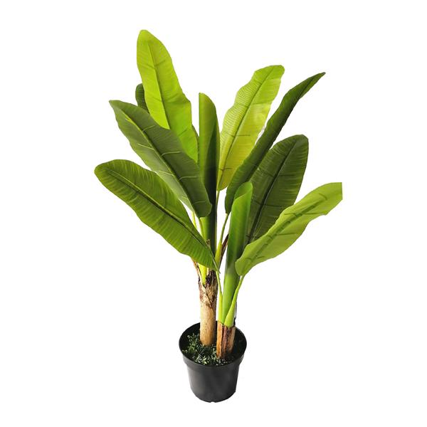 f0e1e37cc0784eda9830cf12ff38c9d1 BANANA TREE NP014_120_22 ΥΨΟΣ 120cm NewPlan - Image 1