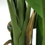 BANANA TREE NP702_145 ΥΨΟΣ 145cm NewPlan - Image 5