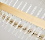 M6612-800R TORRENT BRUSHED GOLD PENDANT 1B3 - Image 2