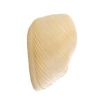 GLOBOSTAR® SALREL 02224 Boho Φωτιστικό Τοίχου - Απλίκα με Ντουί 1 x E27 AC 220-240V IP20 - Μπεζ - Μ30 x Π22 x Υ38cm - Image 5