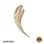 GLOBOSTAR® GOURAMI 02358 Boho Φωτιστικό Τοίχου - Απλίκα με Ντουί 1 x E27 AC 220-240V IP20 - Μπεζ - Μ64 x Π21 x Υ16cm