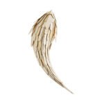 GLOBOSTAR® GOURAMI 02358 Boho Φωτιστικό Τοίχου - Απλίκα με Ντουί 1 x E27 AC 220-240V IP20 - Μπεζ - Μ64 x Π21 x Υ16cm - Image 4