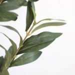 OLIVE TREE NP439_150 ΥΨΟΣ 150cm NewPlan - Image 3